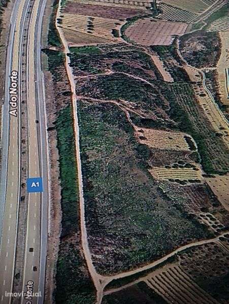 Terreno rústico - vinha Bairrada - Grande imagem: 3/3