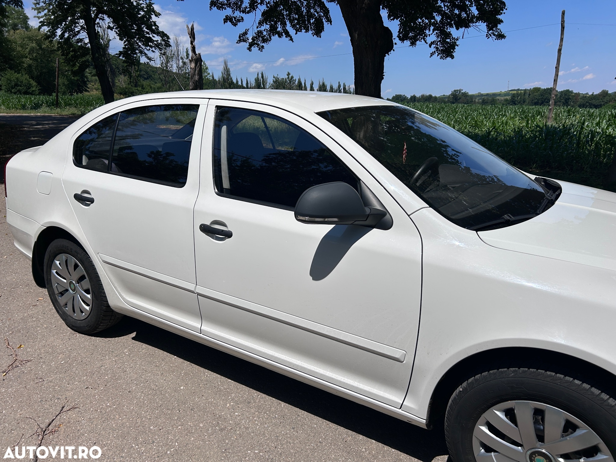 Skoda Octavia 1.4 MPI Ambiente - 3