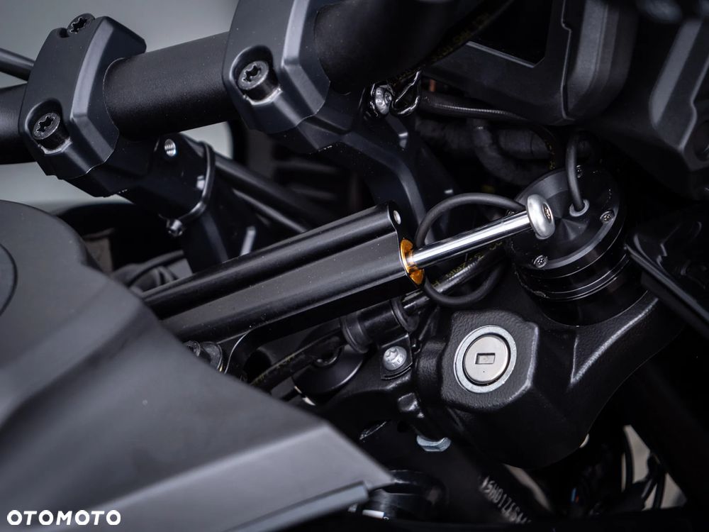 Harley-Davidson Pan America - 10