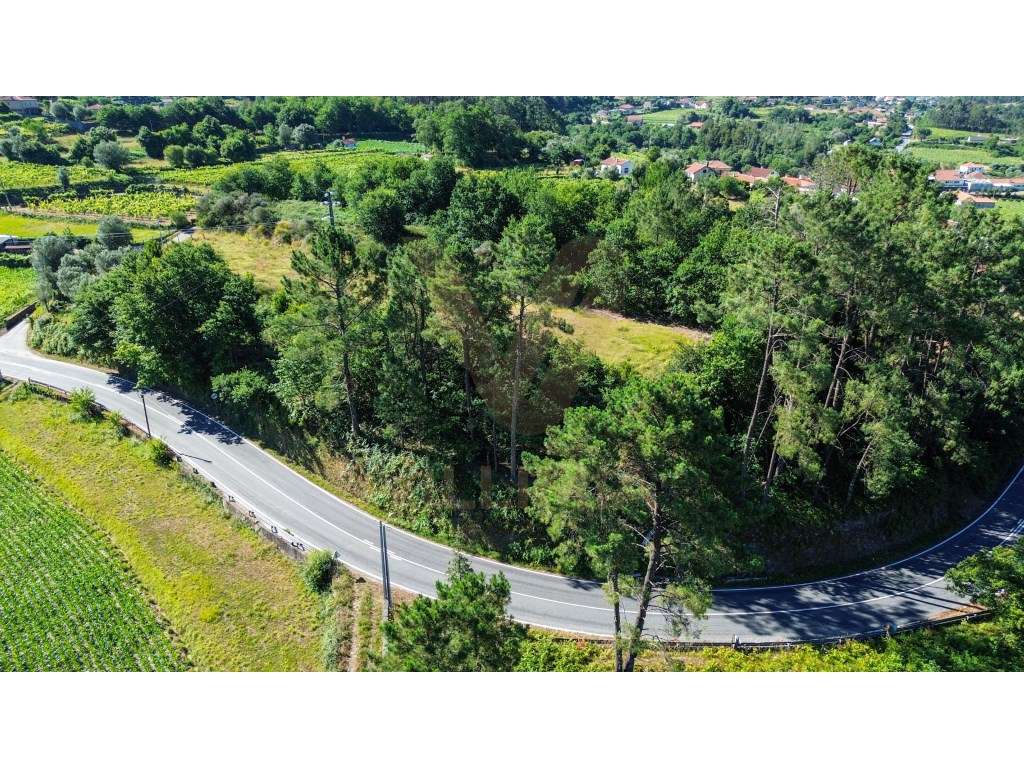 Terreno com 940m² | Cepões - Ponte de Lima - Grande imagem: 4/8