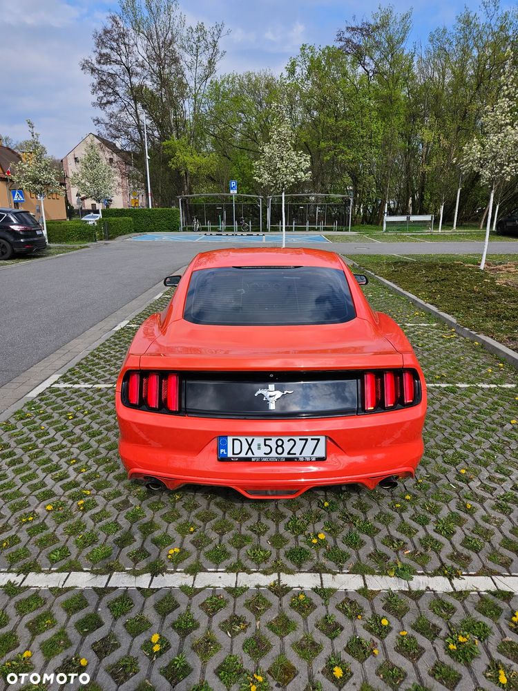 Ford Mustang 3.7 V6 - 7