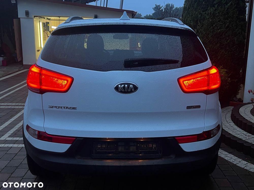 Kia Sportage - 29