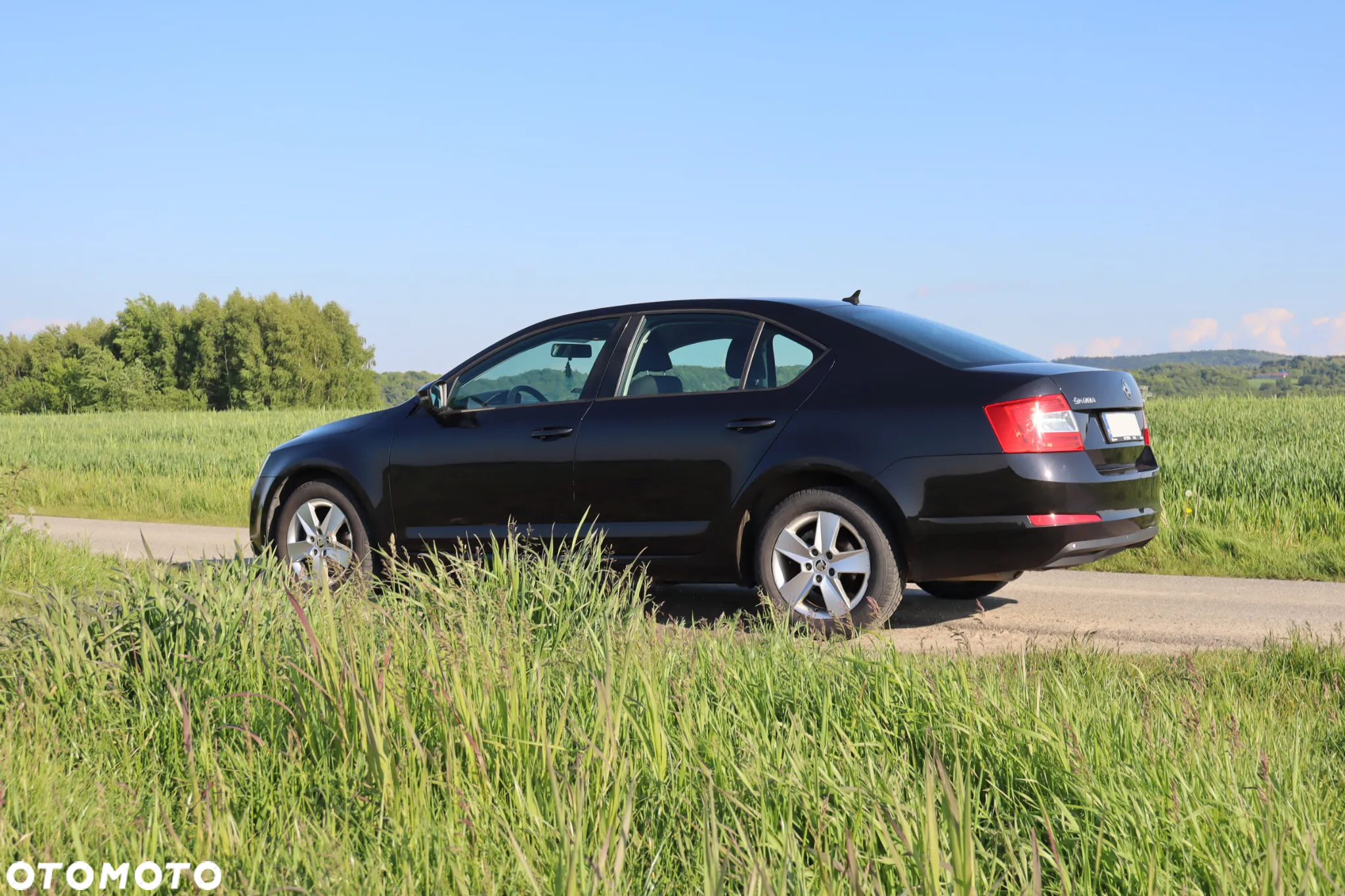 Skoda Octavia 2.0 TDI Ambition DSG - 8
