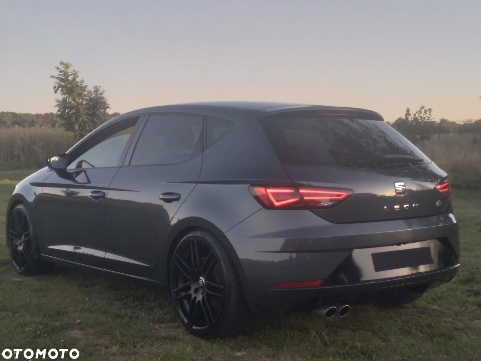 Seat Leon - 6