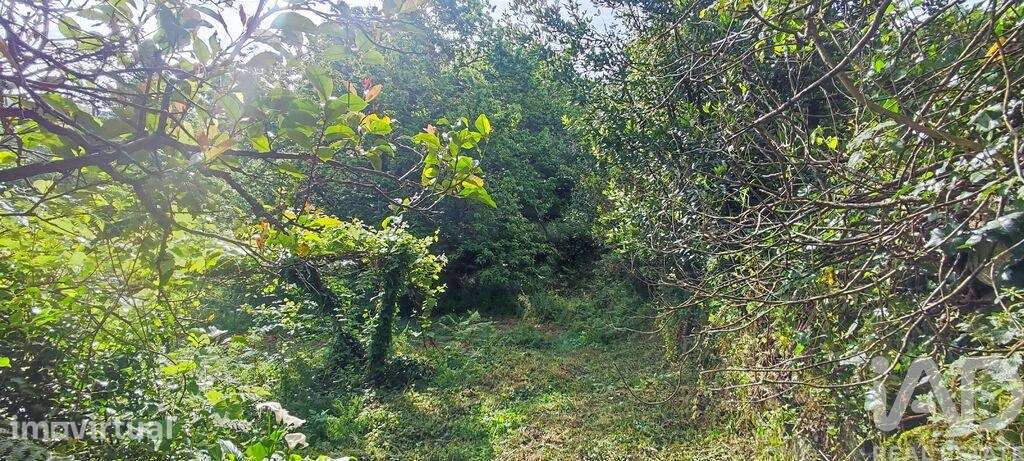 Terreno em Loivo - Grande imagem: 5/6
