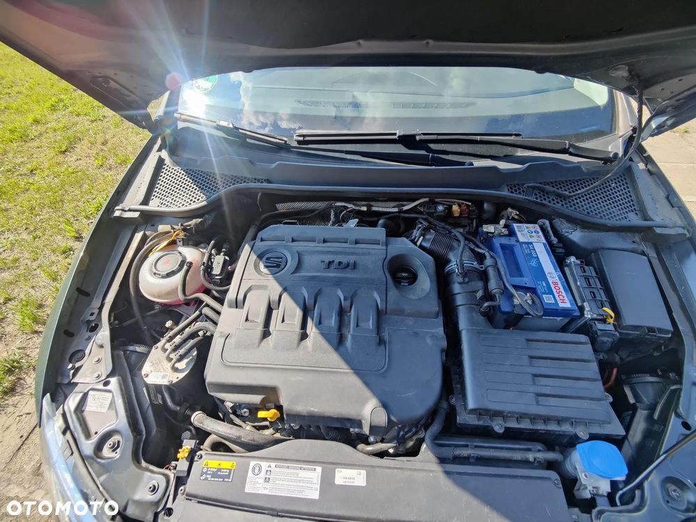 Seat Leon - 14