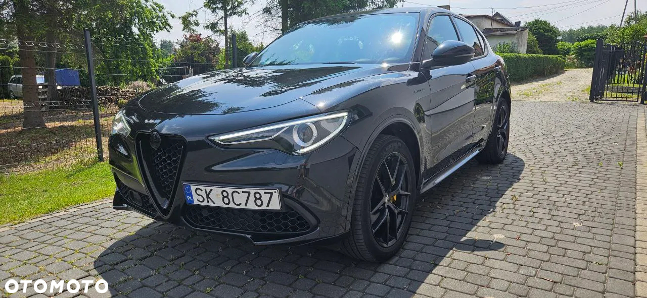 Alfa Romeo Stelvio 2.0 Turbo Veloce Q4 - 3