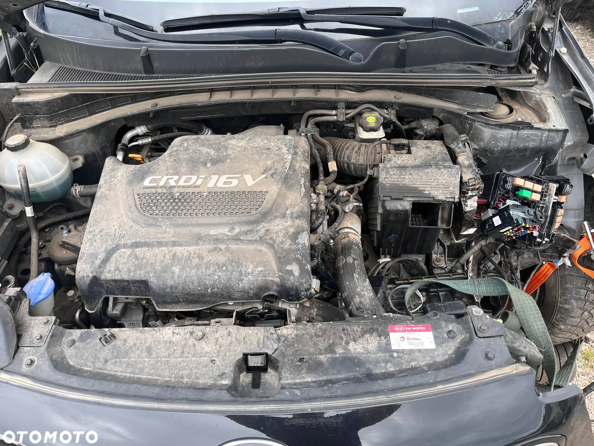 Kia Sportage 2,0 CRDI AWD Spirit - 5