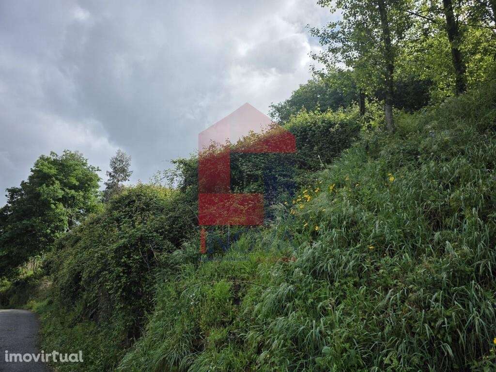 Terreno para construção, Duas Igrejas - Grande imagem: 4/15