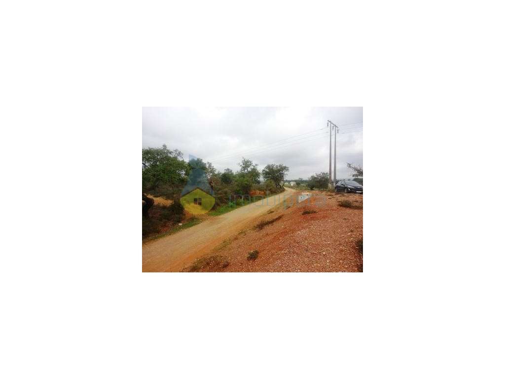 Terreno com 14.800 m2 em Alcantarilha - Grande imagem: 5/5