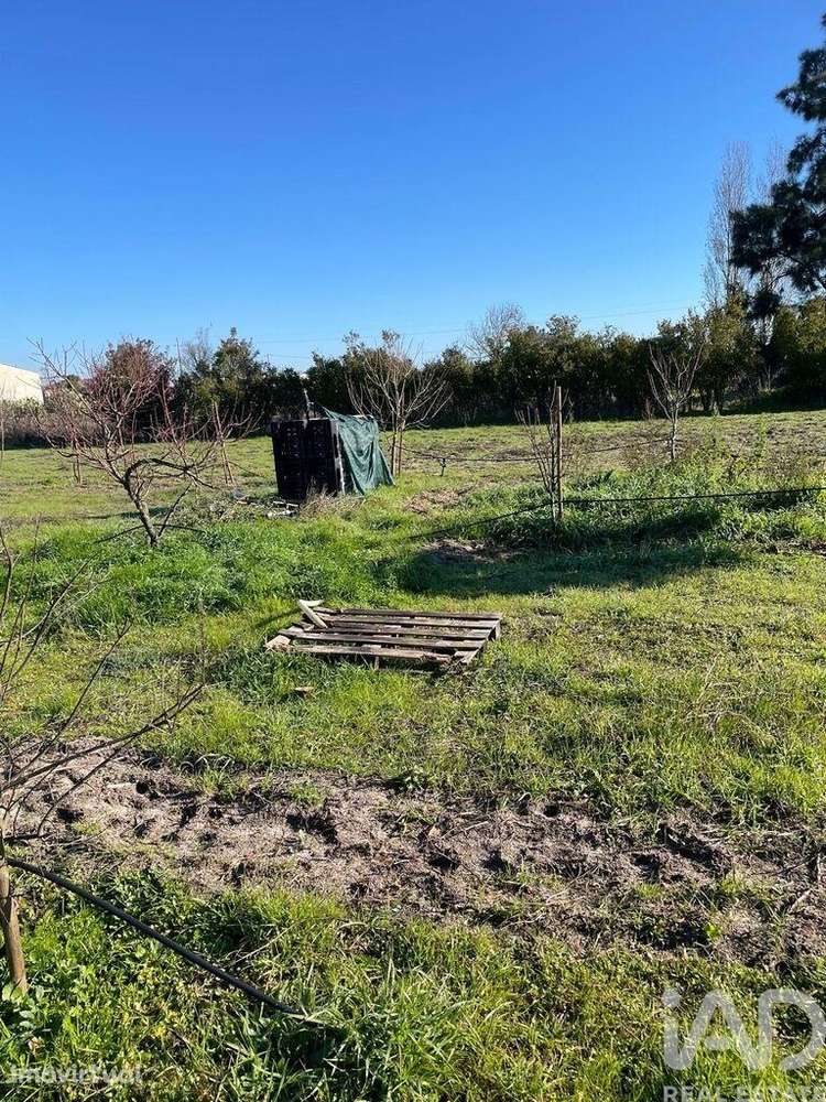 Terreno Agrícola em Poceirão e Marateca - Grande imagem: 4/10
