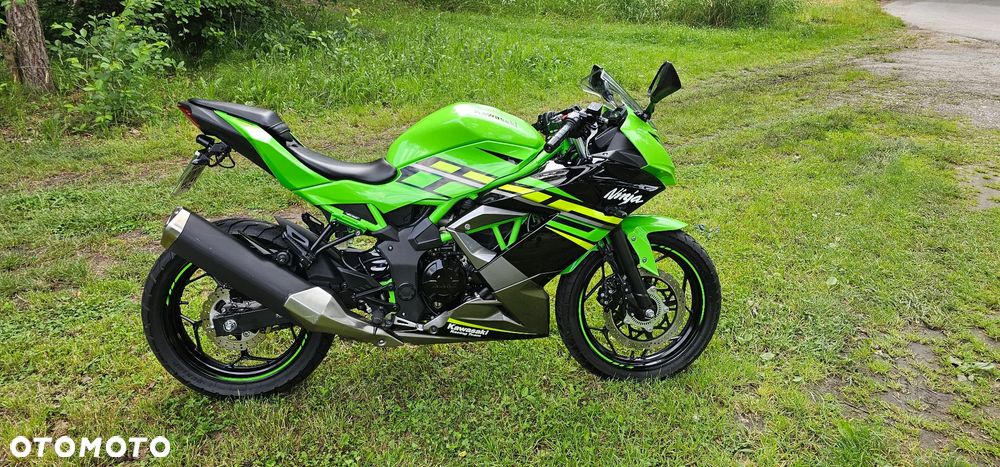 Kawasaki Ninja - 4