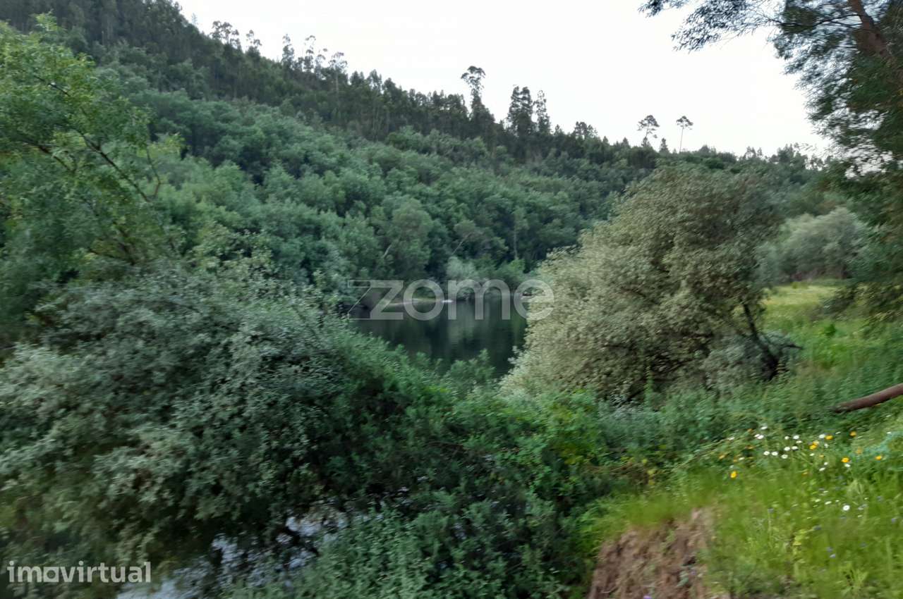 Quinta Junto ao rio Mondego - Grande imagem: 4/21