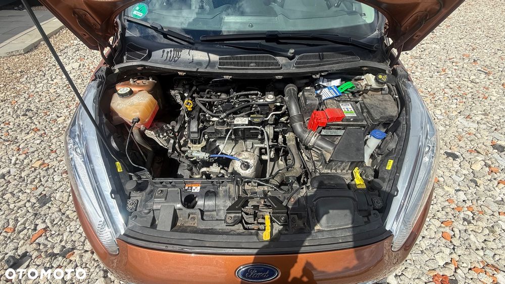 Ford Fiesta - 25