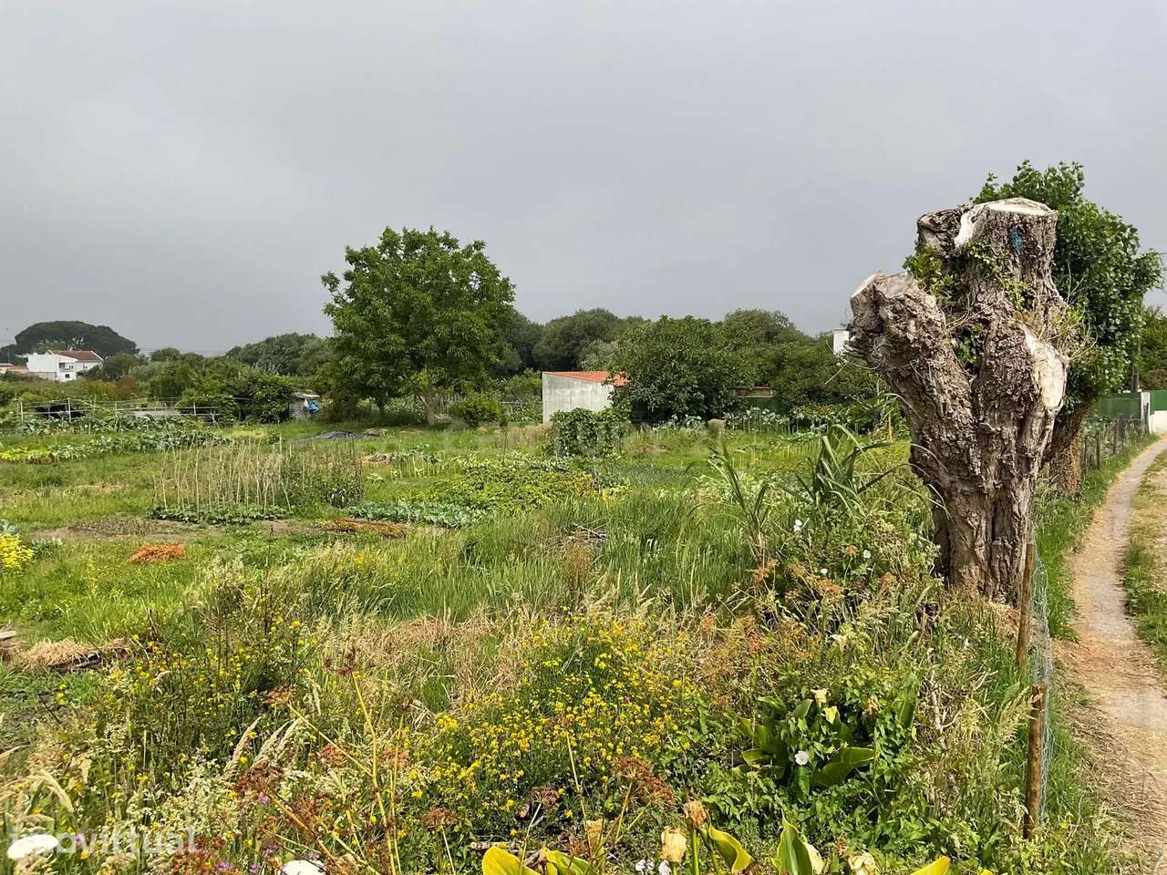 Espetacular Terreno de 572m² em Viana do Castelo - Grande imagem: 4/12