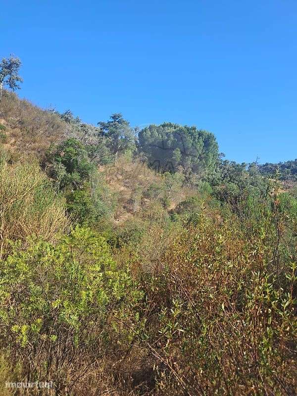 Terreno  para venda - Grande imagem: 2/4