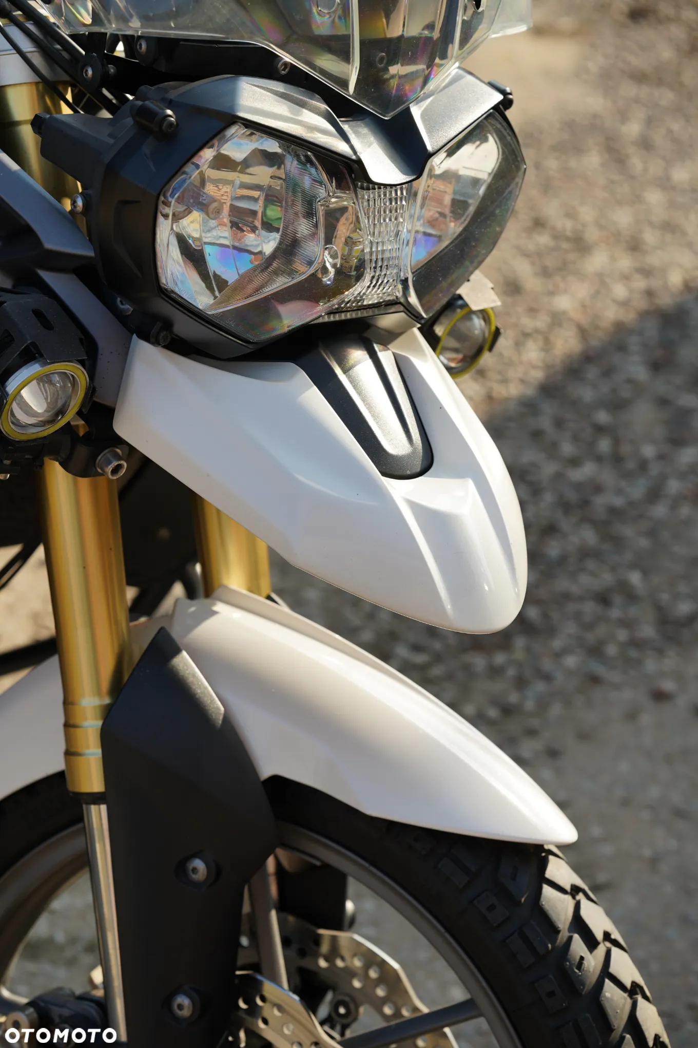 Triumph Tiger - 14