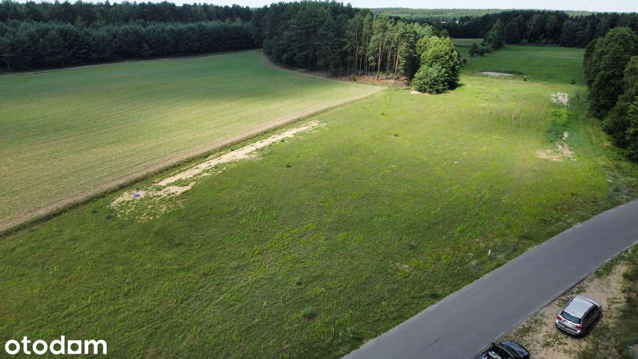 Działki rekreacyjne nad Jeziorem Urszulewskim 130km od Warszawy - Pełny obrazek: 3/6