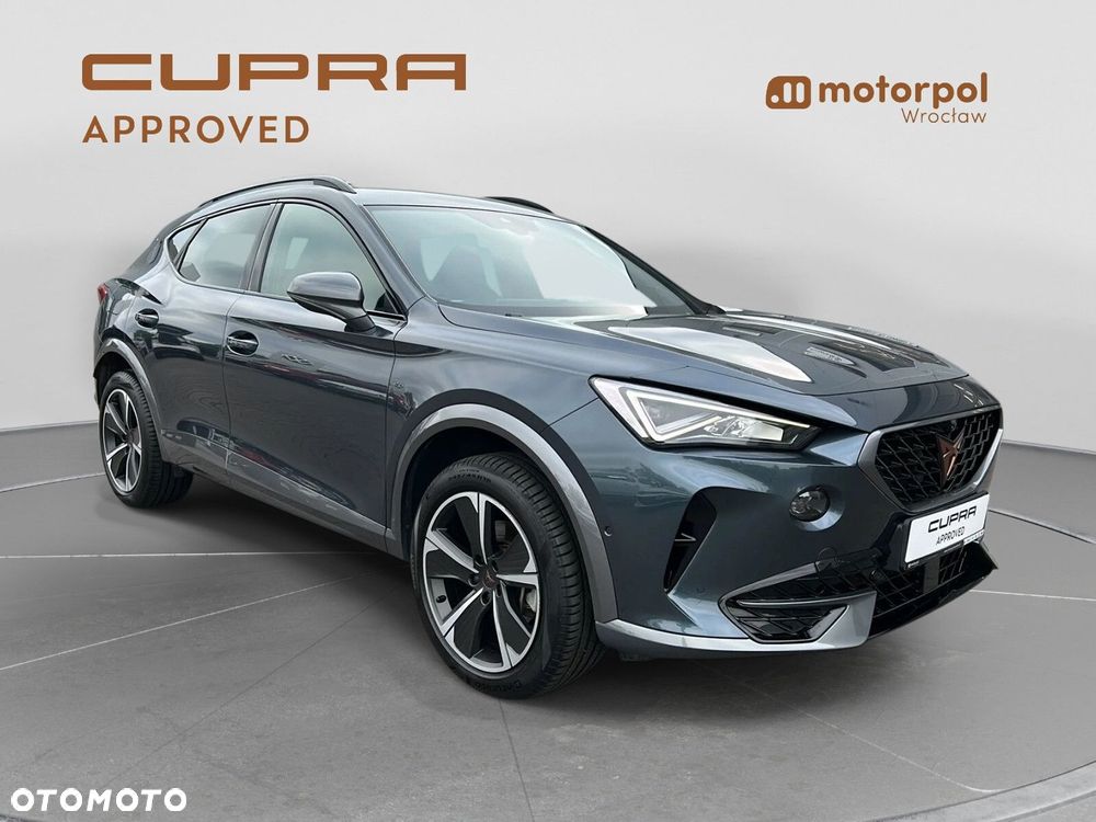 Cupra Formentor 2.0 TSI 4Drive DSG - 15