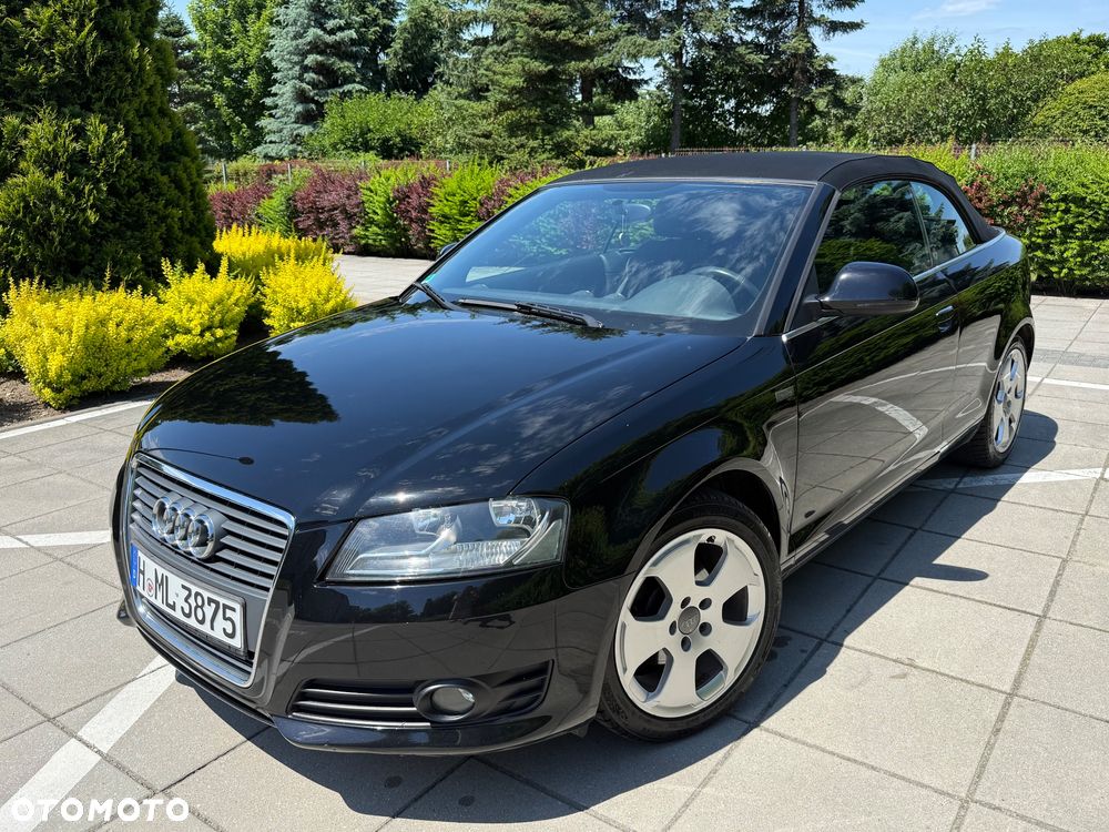Audi A3 Cabrio 1.6 Ambition - 15