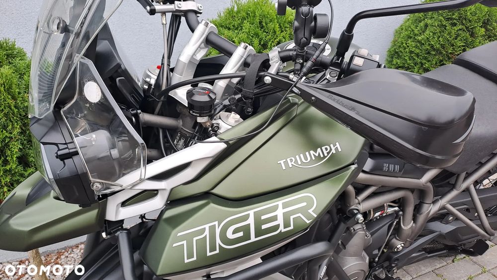 Triumph Tiger - 38