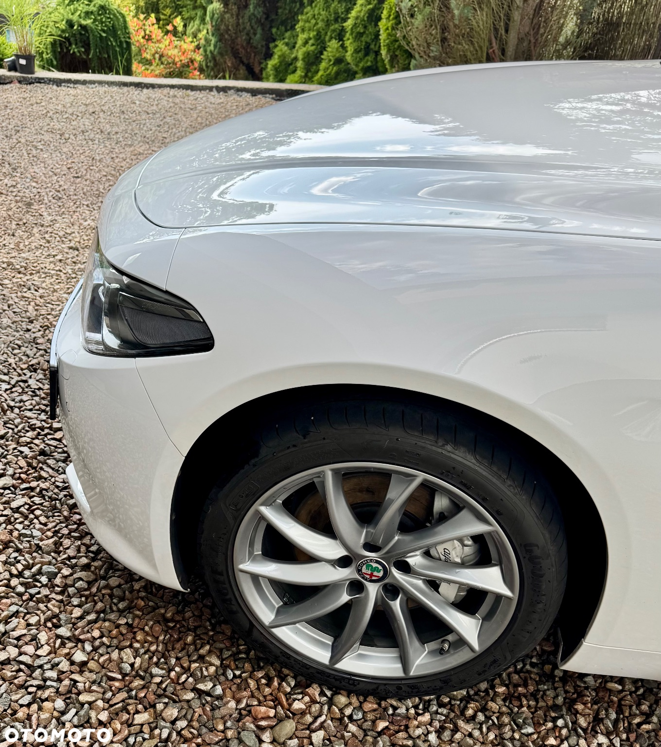 Alfa Romeo Giulia 2.0 Turbo Veloce Q4 - 5