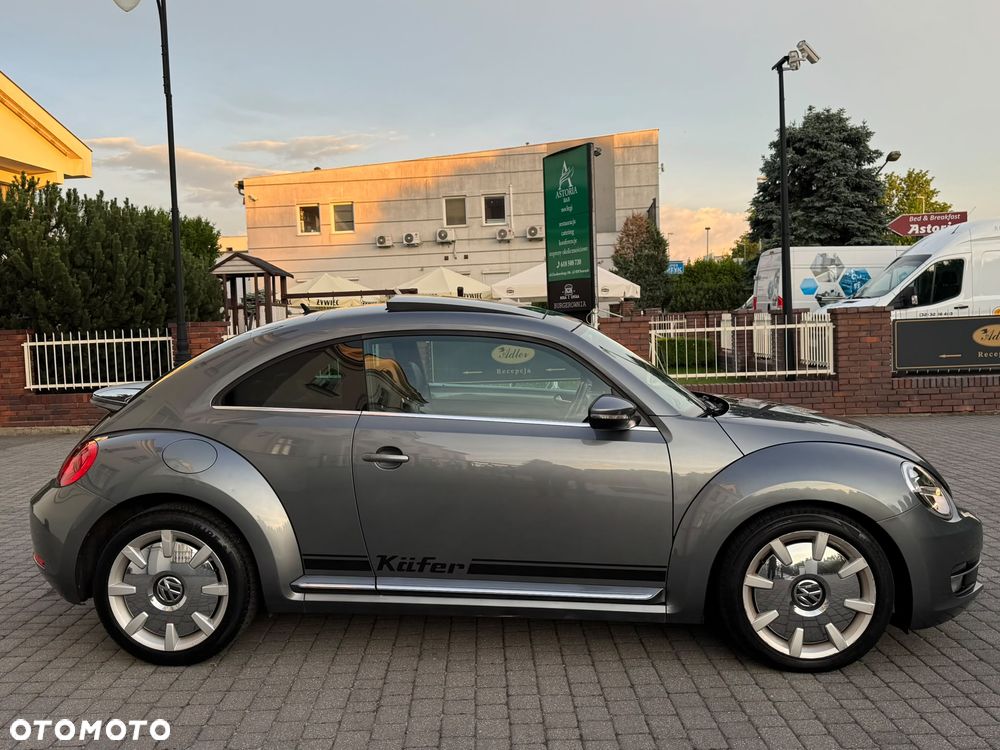 Volkswagen Beetle - 23