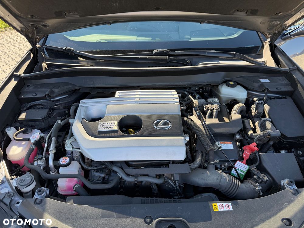 Lexus UX 250h GPF Business Edition AWD - 31