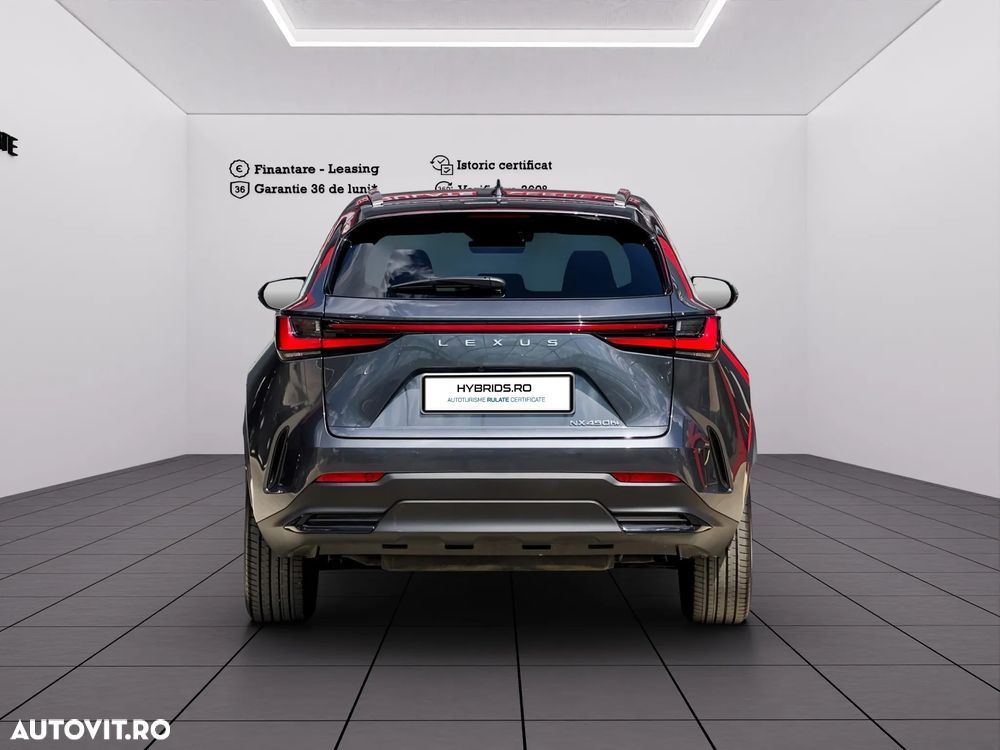 Lexus Nx 2024 photo 4