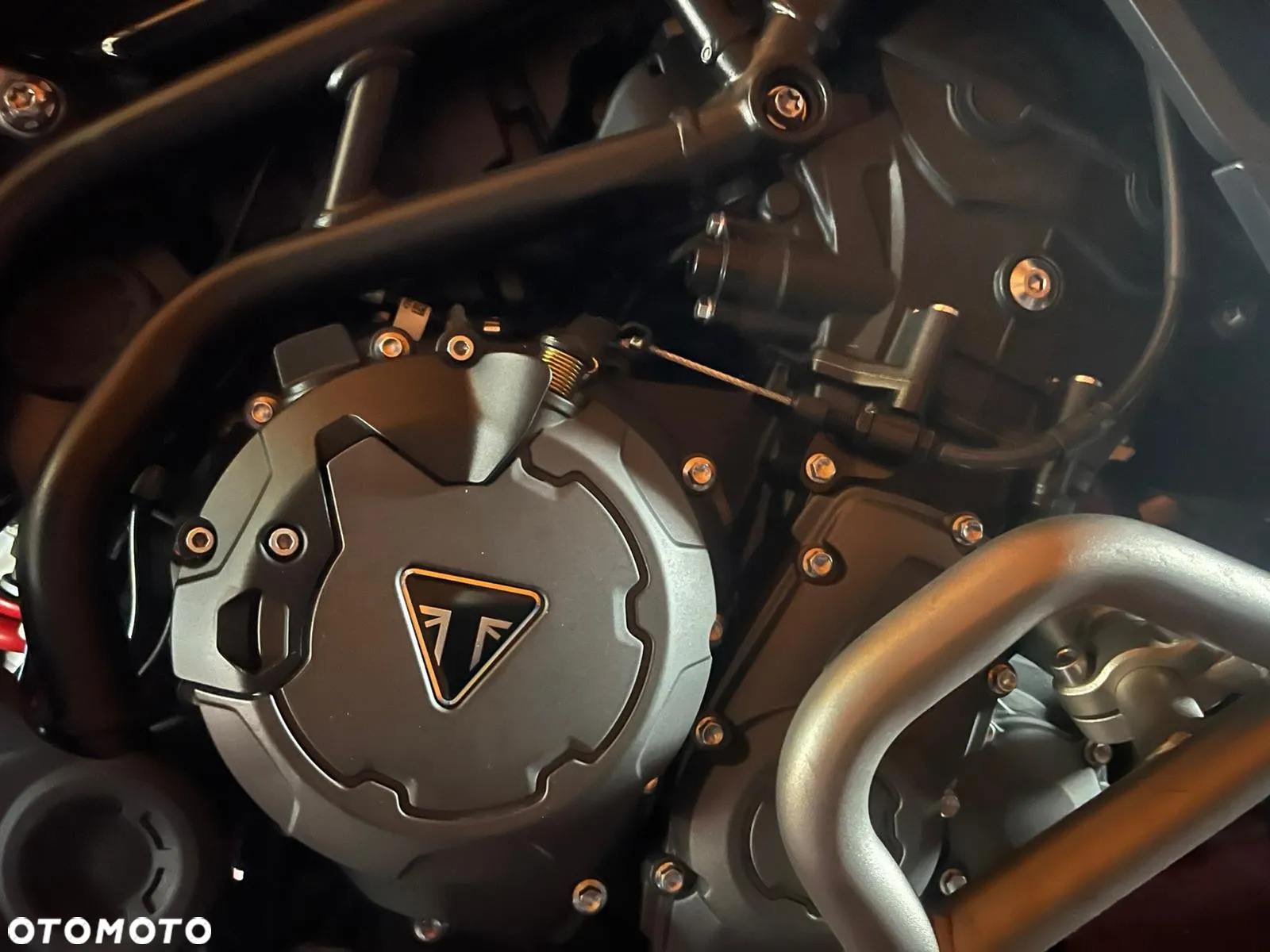 Triumph Tiger - 5