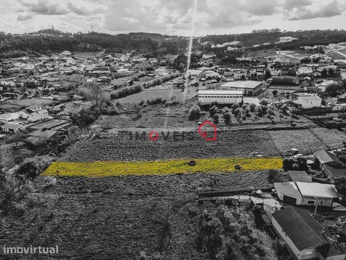 Terreno fértil e soalheiro - a 5 min. de Leiria - Grande imagem: 5/8