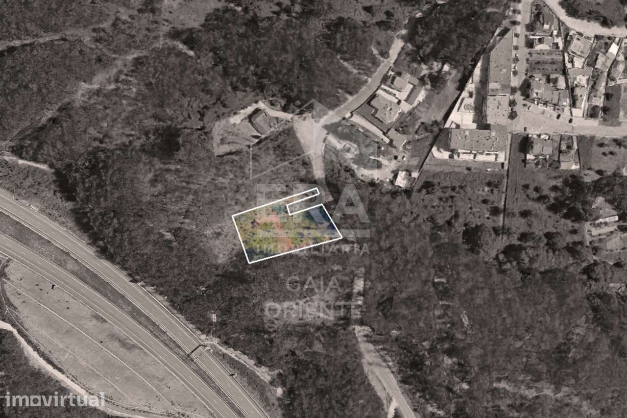 Terreno florestal em Sandim - Grande imagem: 2/4