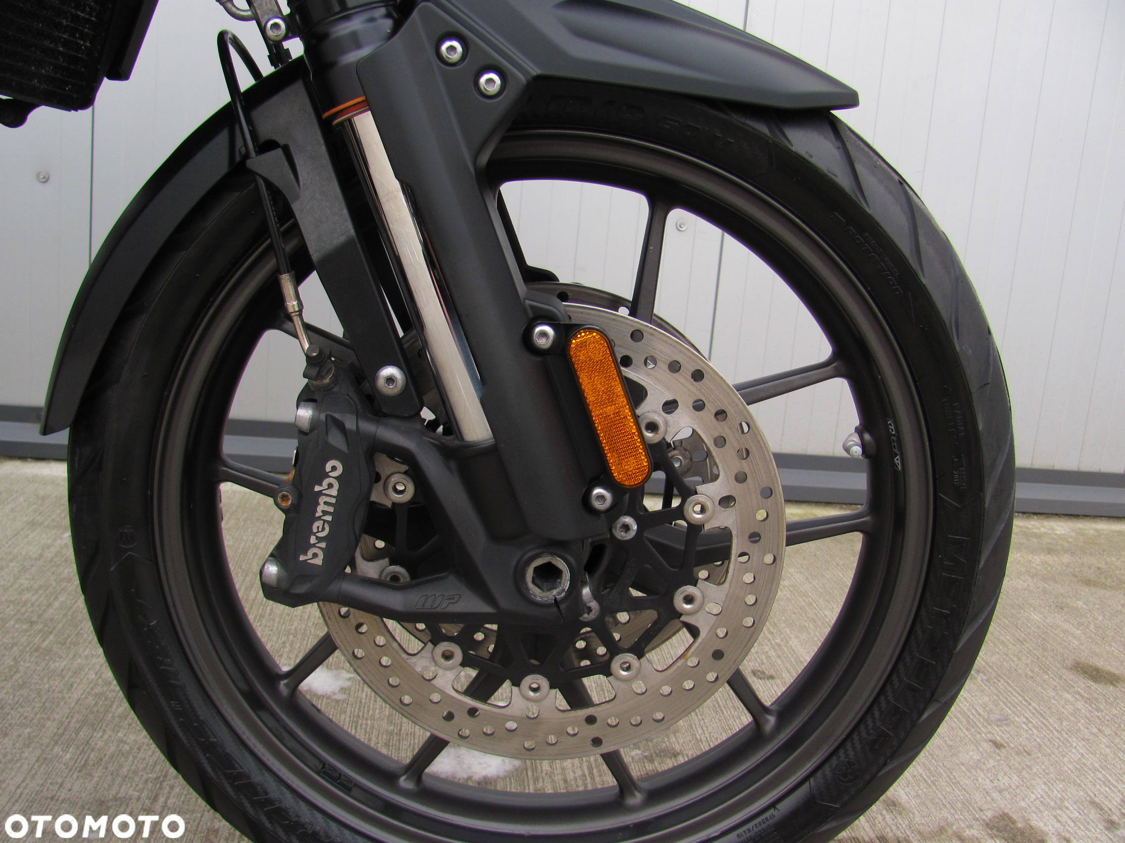 Triumph Tiger - 7