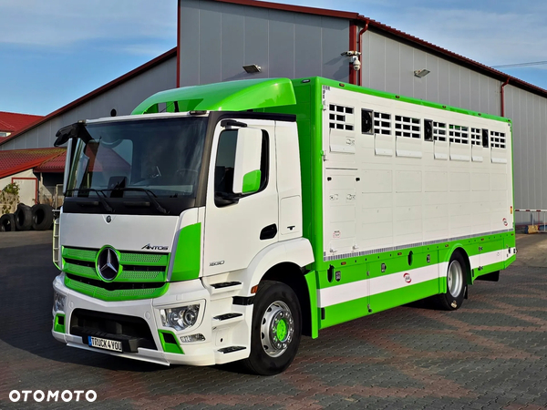 Mercedes-Benz Antos 1830 / Nowa zabudowa z wagą / do żywca / zwierząt / bydła / DMC 18T