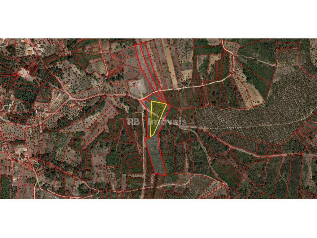 Lote de 6 terrenos rústicos na freguesia de Sabacheira, Tomar - Grande imagem: 2/7