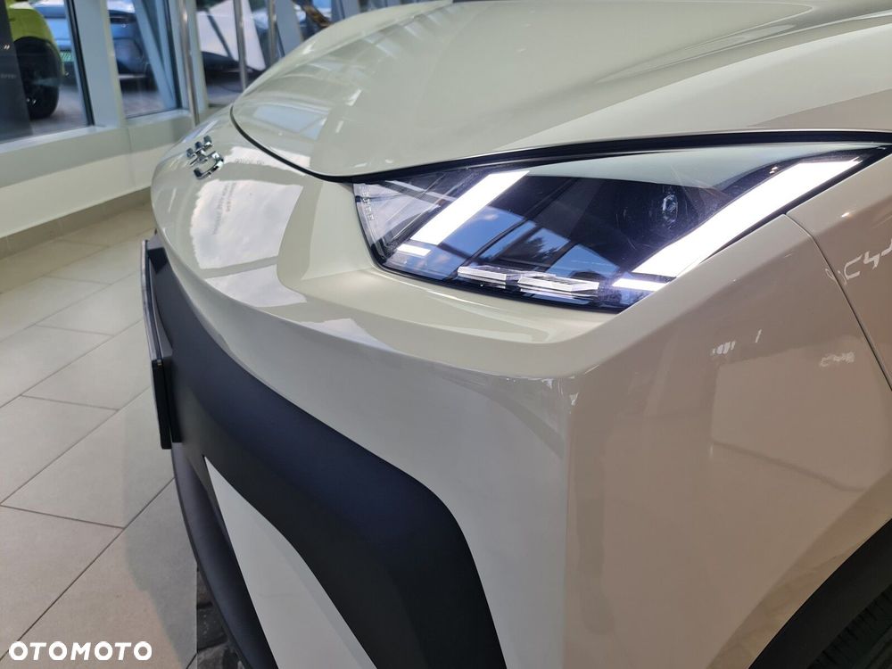 BYD Dolphin Surf - 18