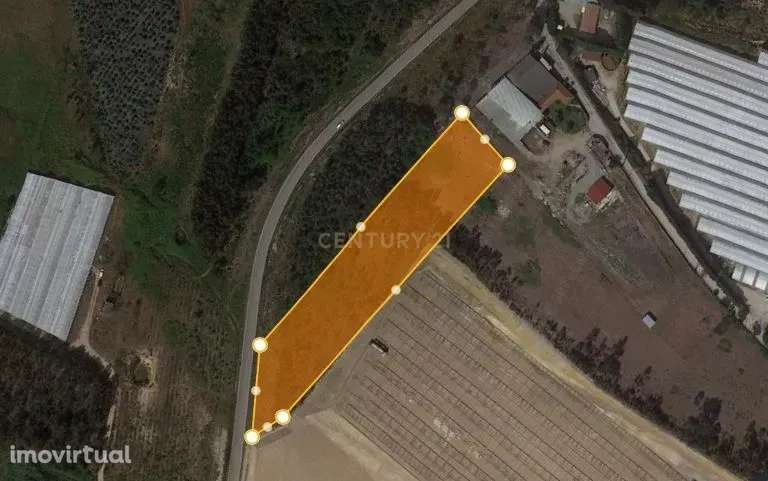 Terreno Rústico - Grande imagem: 5/5