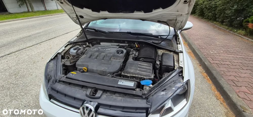 Volkswagen Golf 1.6 TDI Trendline DSG - 28