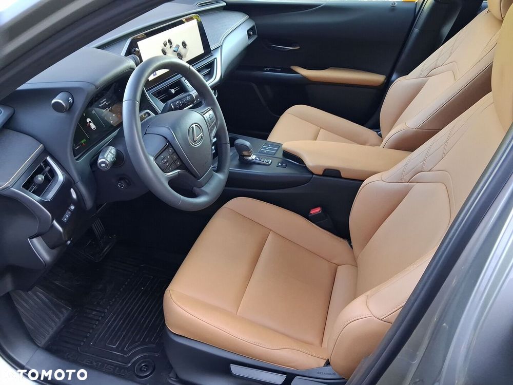 Lexus UX 300h F Sport Design - 19