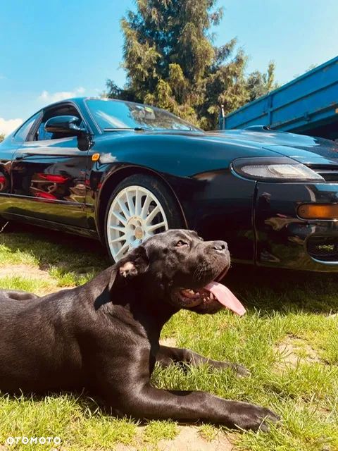 Toyota Celica - 2