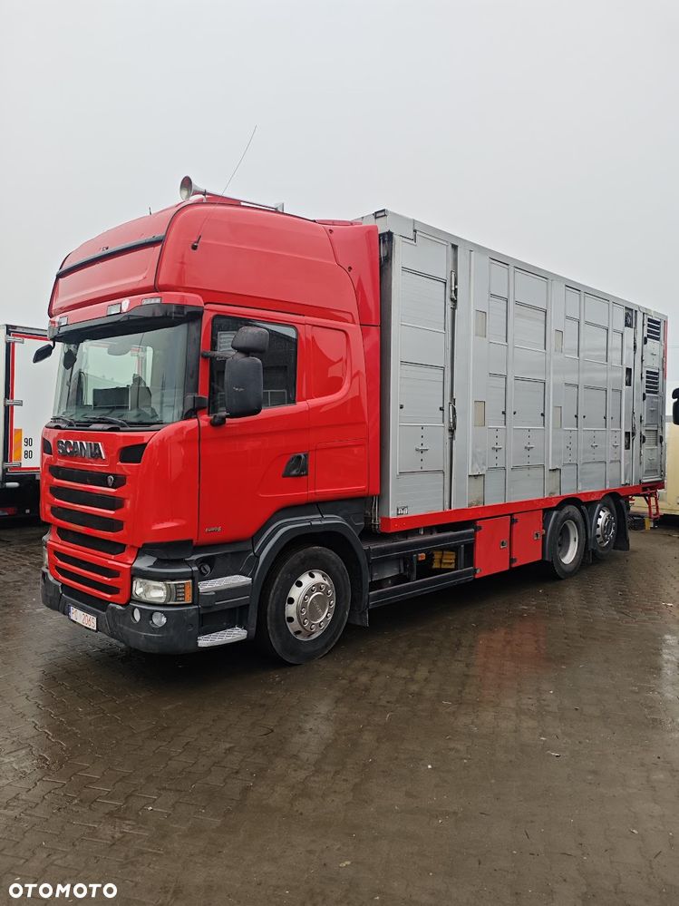 Scania R450 * do żywca * do bydła * świniarka *do trzody