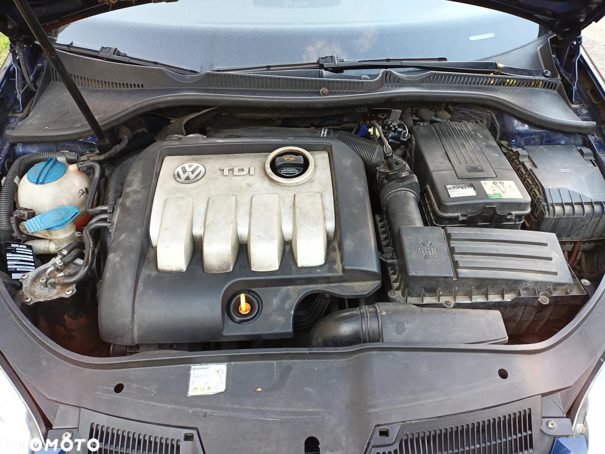 Volkswagen Golf - 22