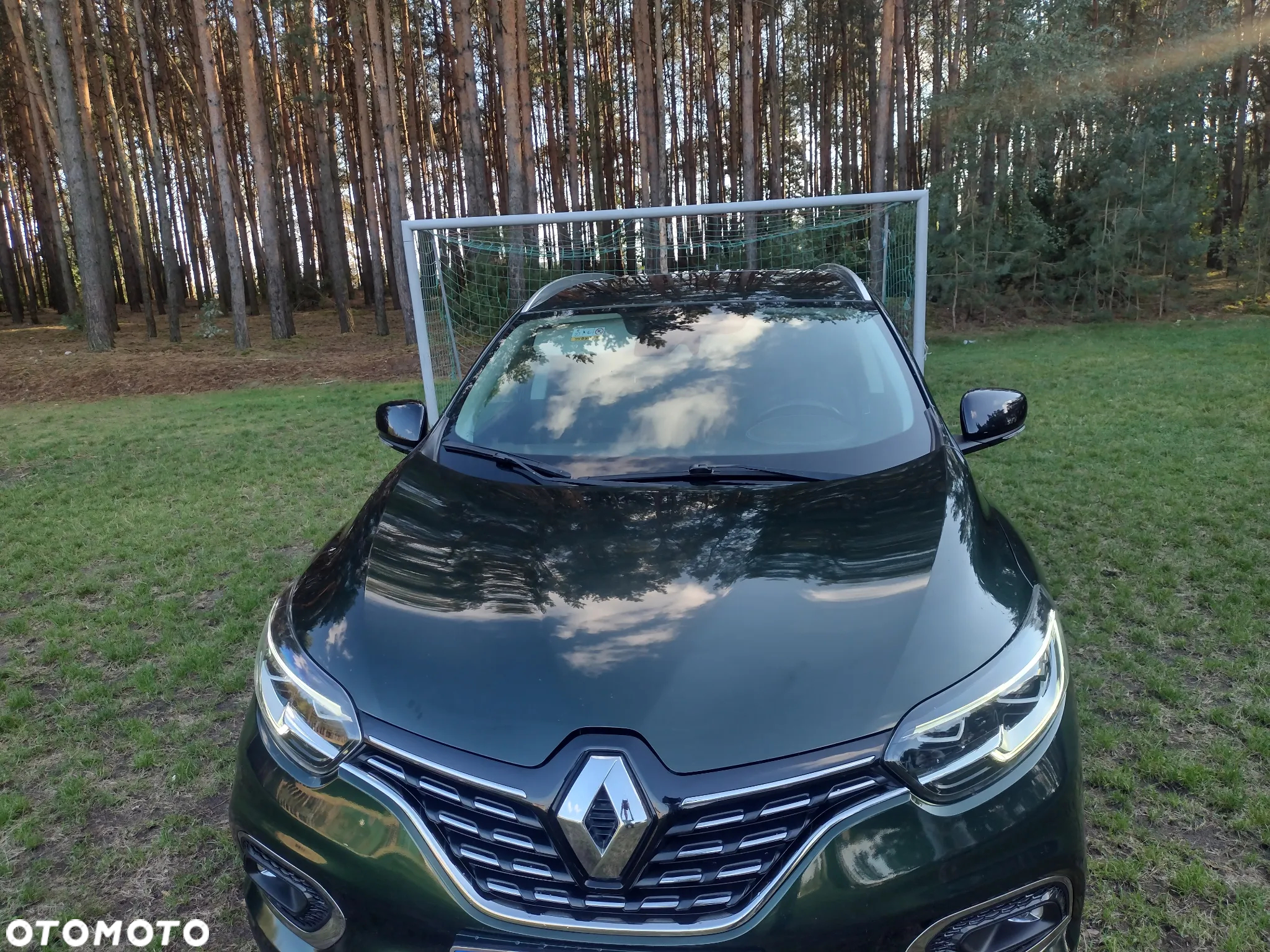 Renault Kadjar - 29