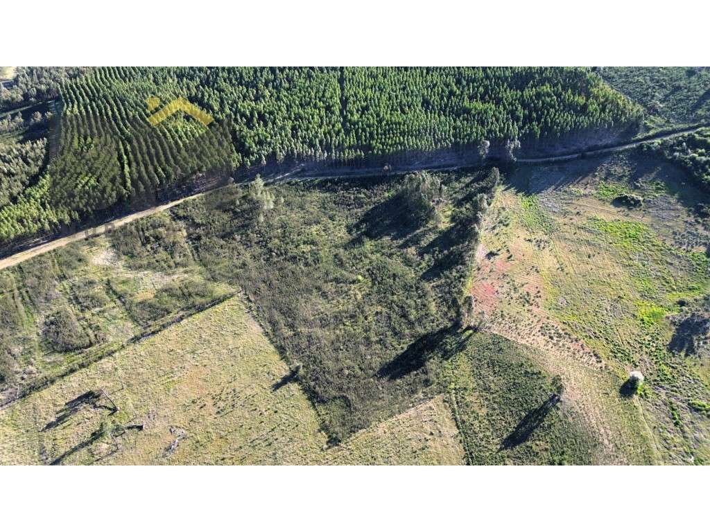 Terreno Rústico com 17.480 m² para venda em Juncal do Campo! - Grande imagem: 2/10