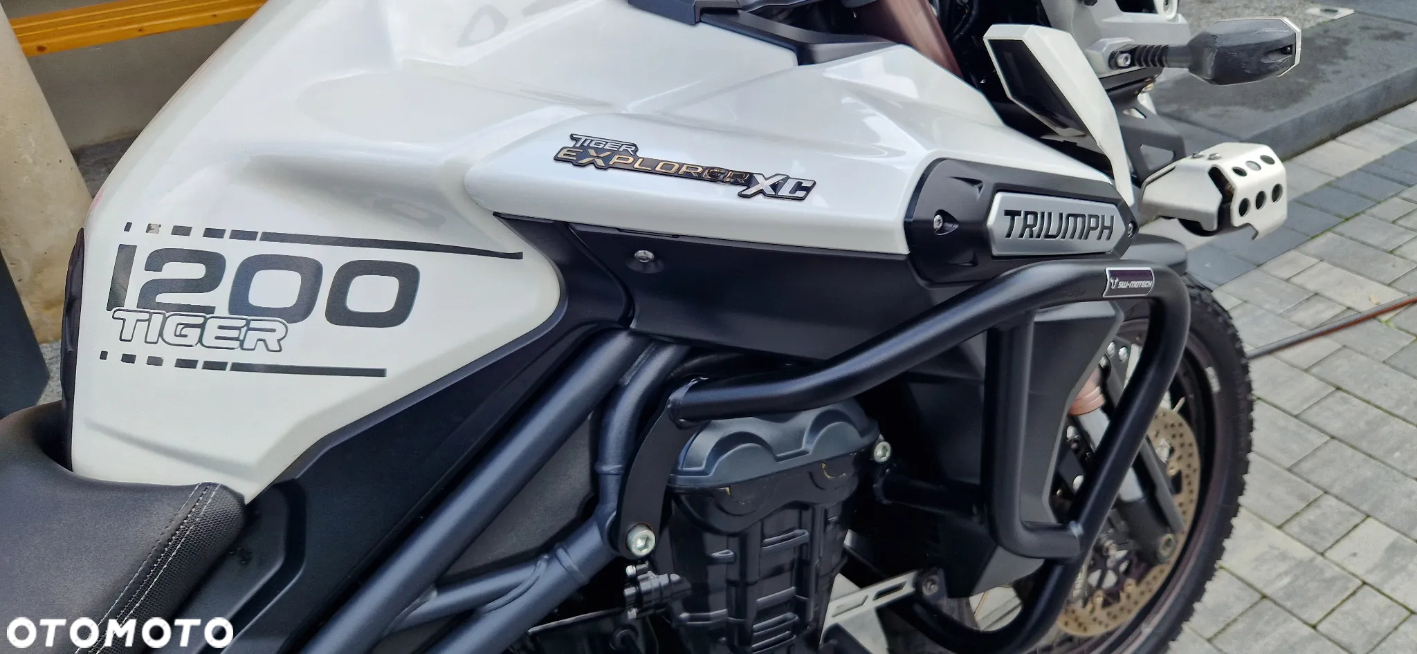 Triumph Tiger - 6