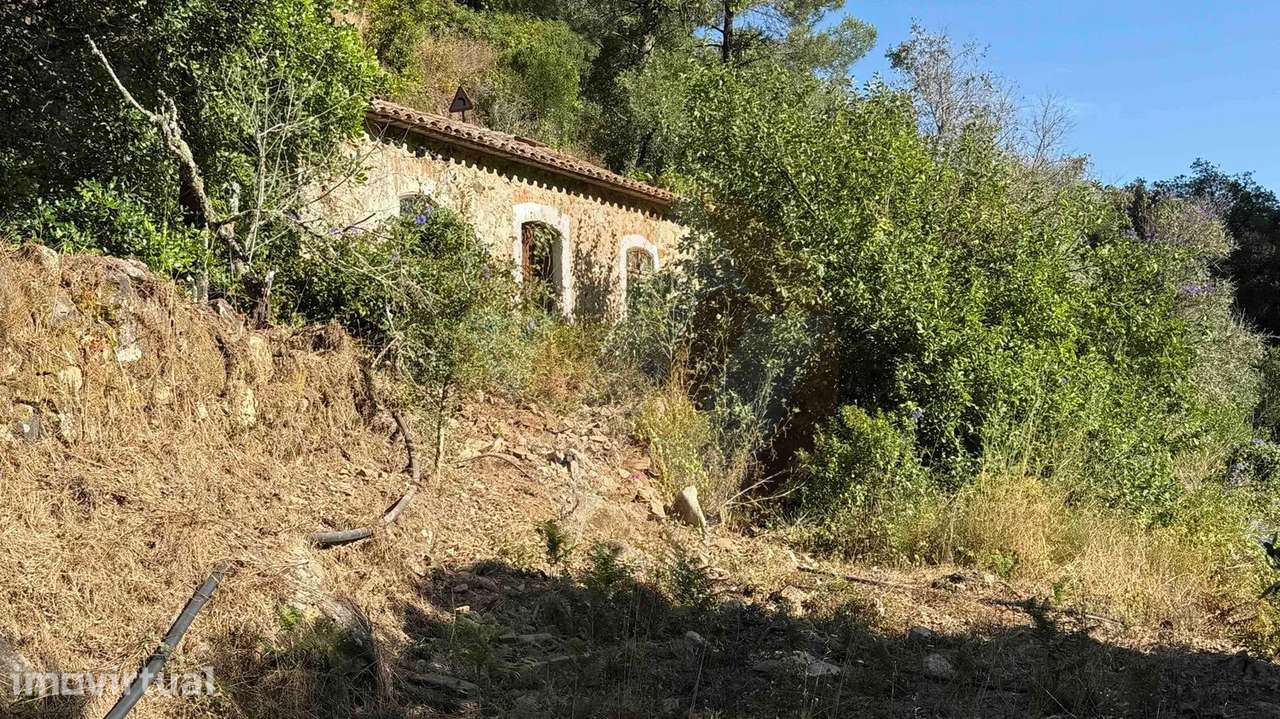 Oportunidade Única na Serra de Monchique! - Grande imagem: 2/15