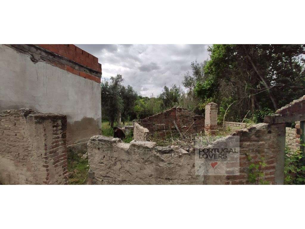 Quinta com várias construções terreno 2874 m2 Galveias (Ponte de Sor) - Grande imagem: 5/27
