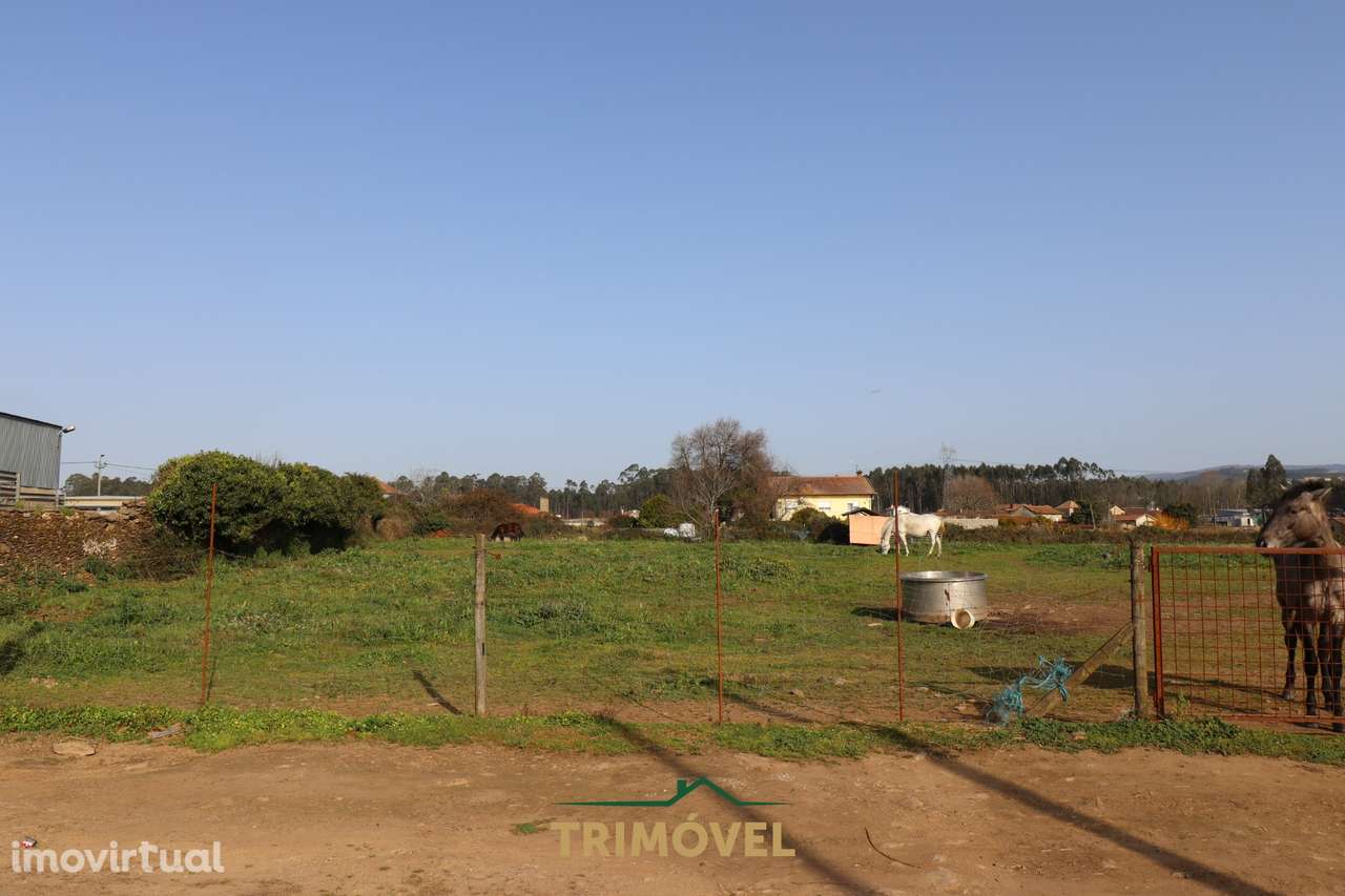 Terreno para construção - Loureiro - Grande imagem: 4/10