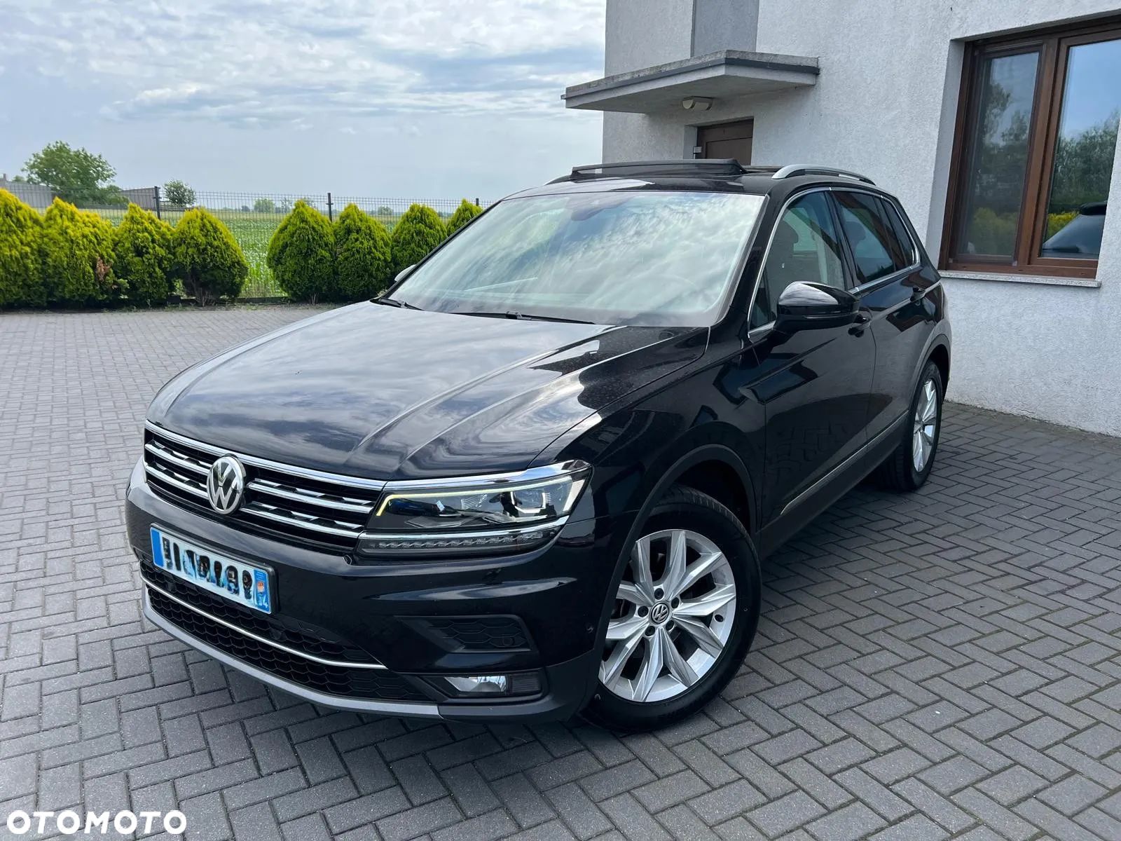 Volkswagen Tiguan - 1