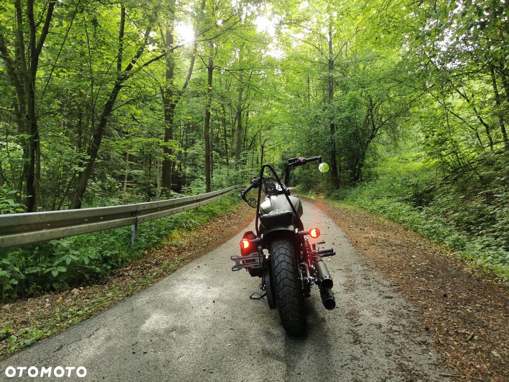 Indian Scout - 21